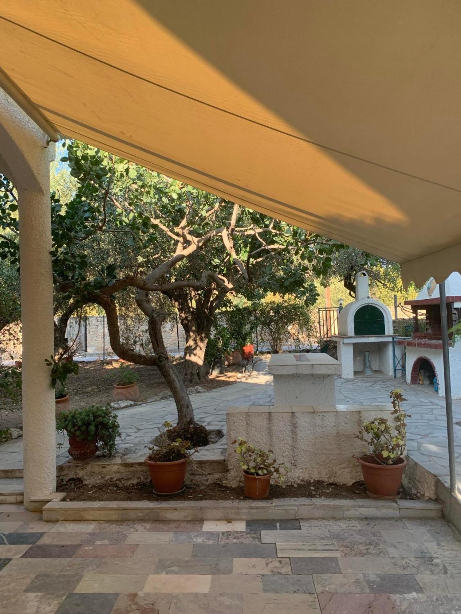 Aeacus Serenity Aegina